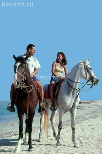 Amaraya Club Kahramana Marsa Alam 14